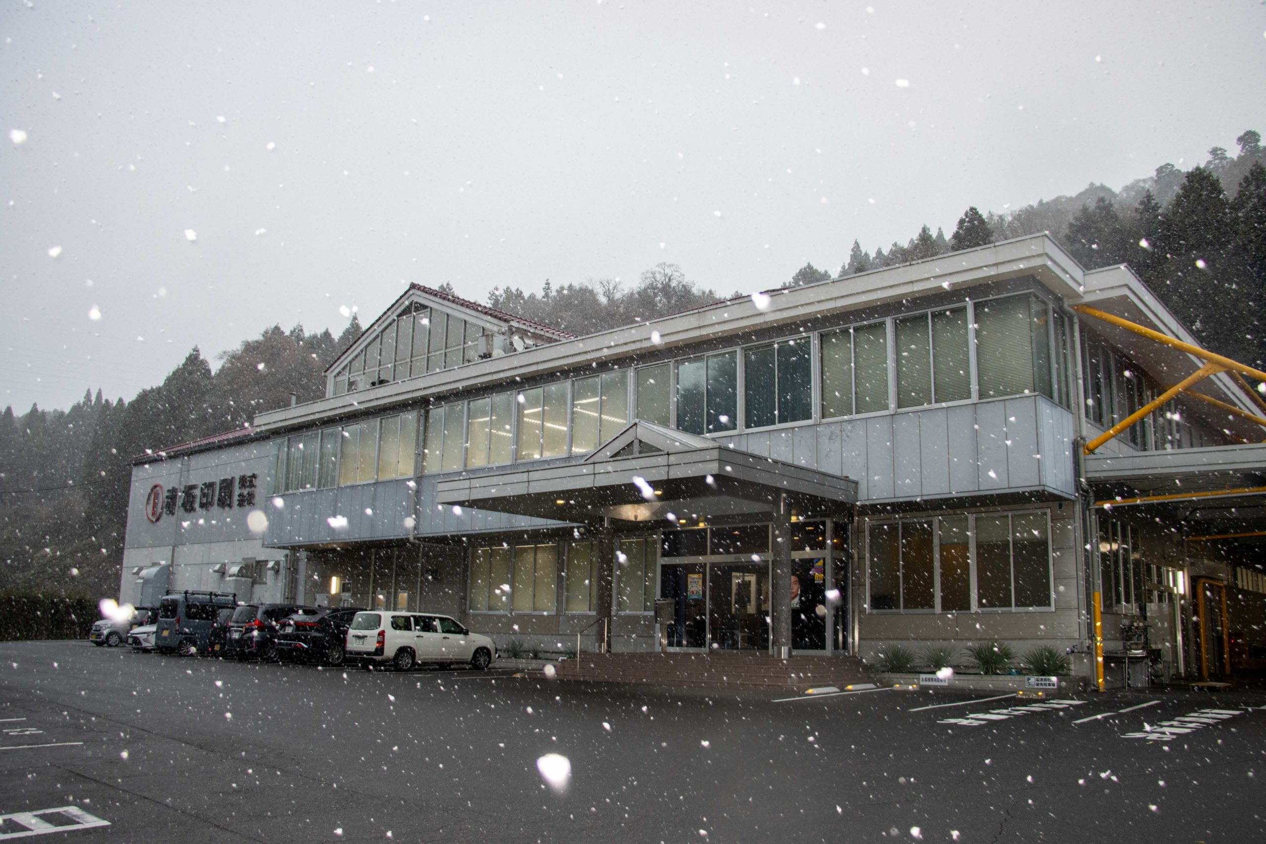 初雪が降りました